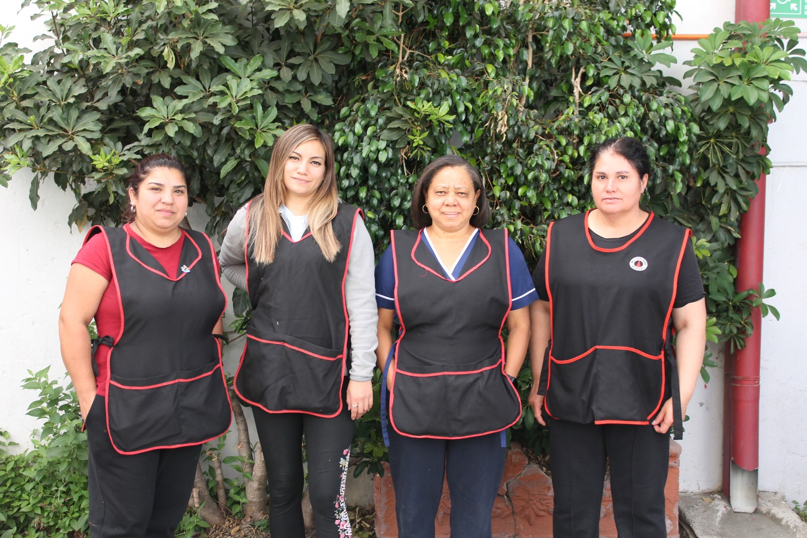Aseo y Mantención Senior